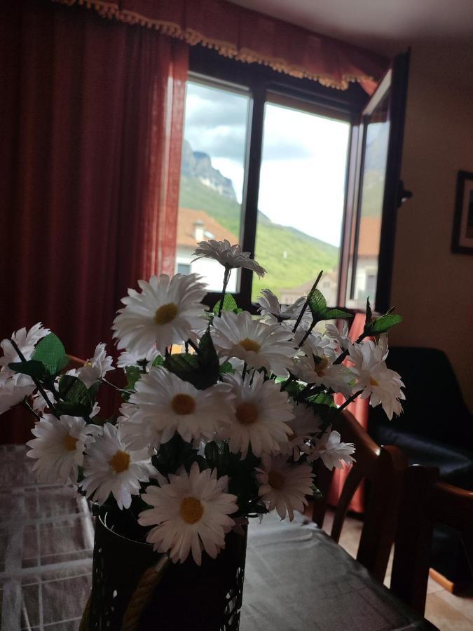 Apartamento Casa Modesto *